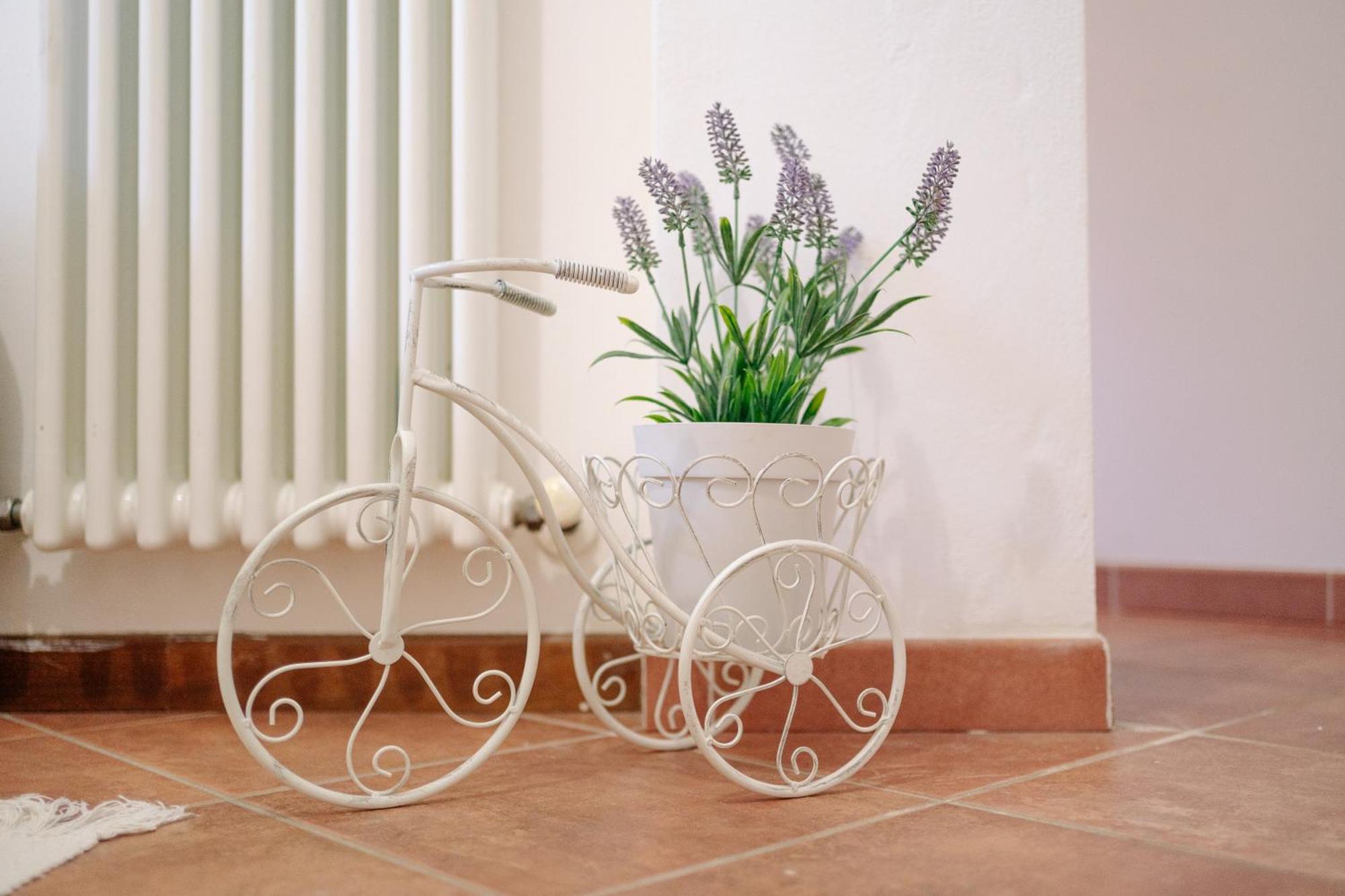 Ema'S Guest House Lucca Bagian luar foto