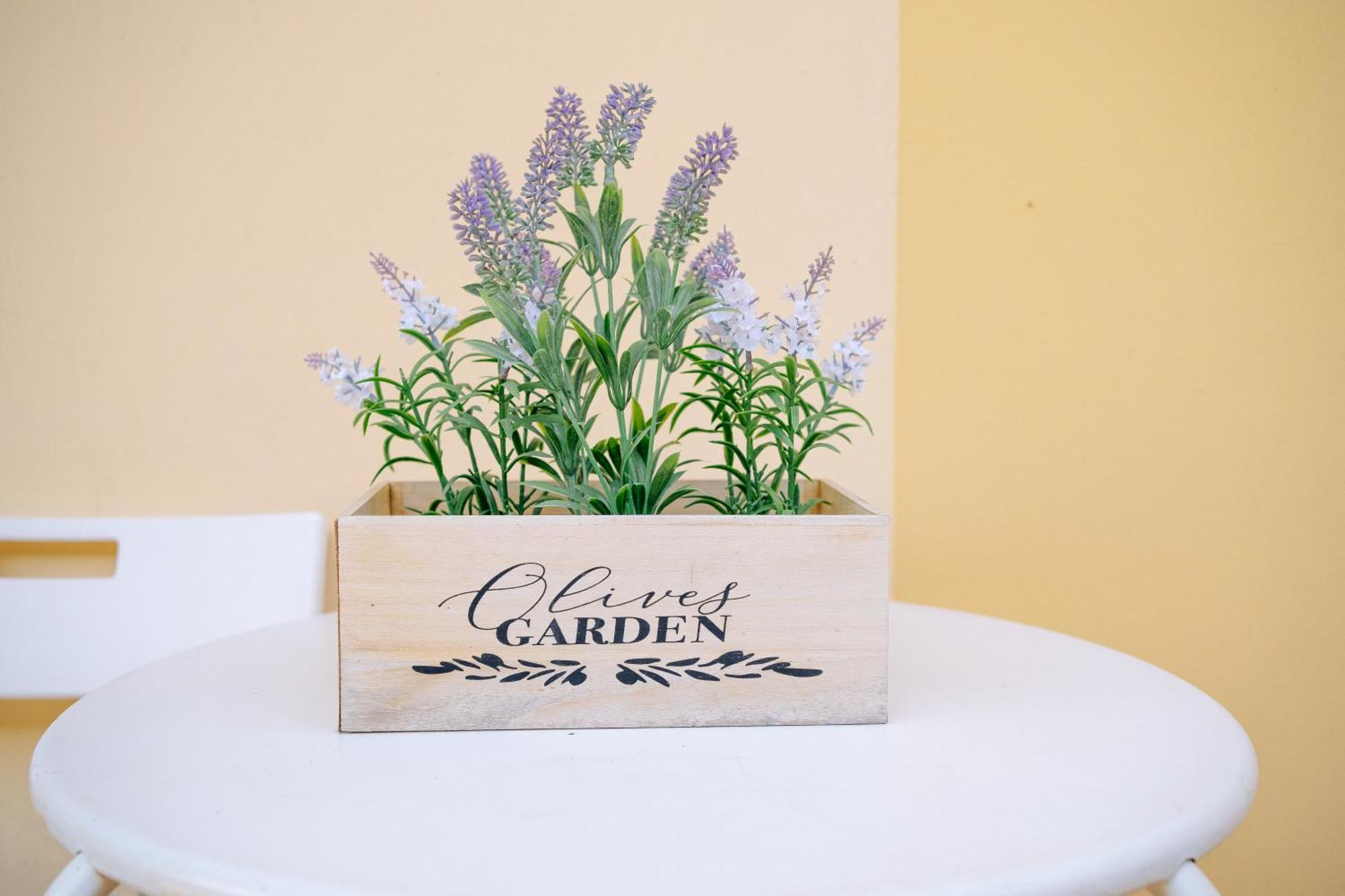 Ema'S Guest House Lucca Bagian luar foto